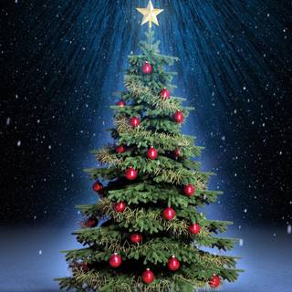 Christmas tree and star wallpaper
