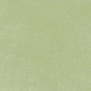 Green sage wallpaper