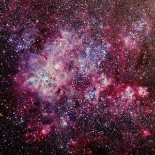 Tarantula Nebula wallpaper