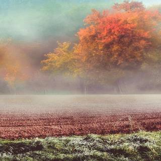 Cold autumn landscape wallpaper