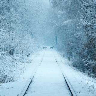 Winter railroad wallpaper