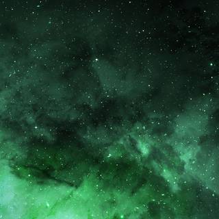 Green cosmos wallpaper