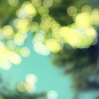 Out of focus wallpaper