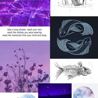 Zodiac sign purple aesthetic wallpaper