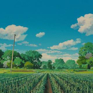 Desktop Ghibli Studio wallpaper