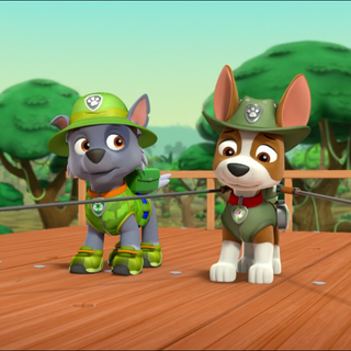 Paw Patrol Tracker wallpaper