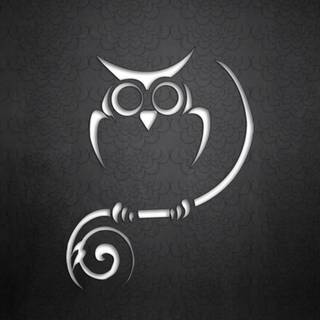 Black owl wallpaper
