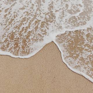 Cream color aesthetic wallpaper