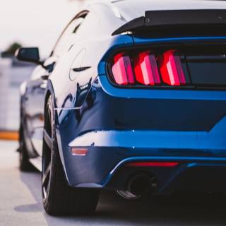 Desktop Cobra Mustang wallpaper