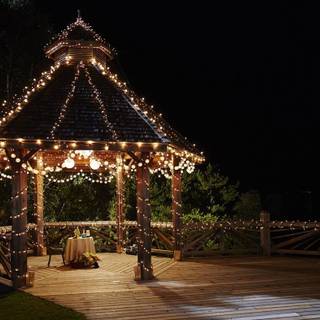 Christmas Zoom wallpaper