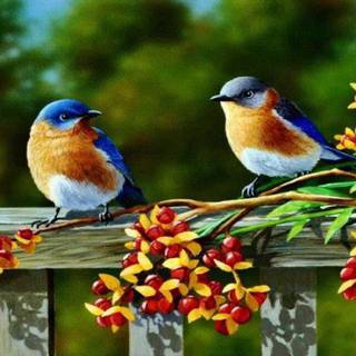 Blue birds wallpaper