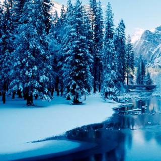 Winter HD phone wallpaper