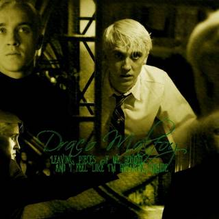 Draco Malfoy aesthetic wallpaper