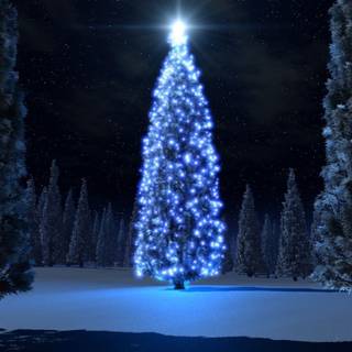 Christmas tree and lights wallpaper