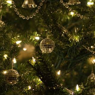 Christmas tree and lights wallpaper