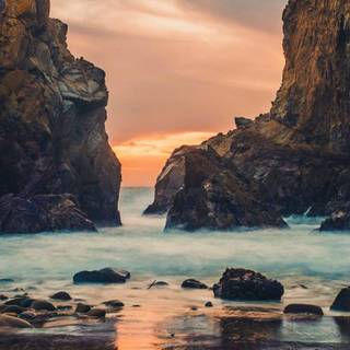 Vertical nature wallpaper