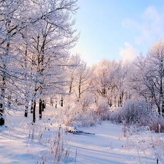 Winter Russia wallpaper