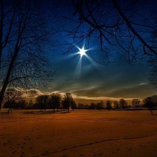 Magic winter moon wallpaper