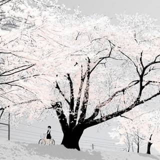 White anime scenery wallpaper