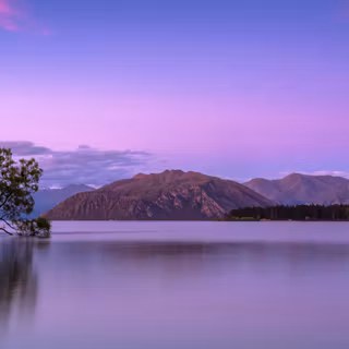 Purple nature wallpaper