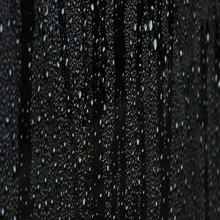 Autumn black wallpaper