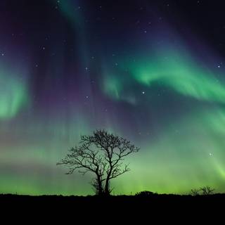 Night sky northern lights wallpaper