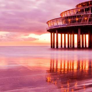 Pink scenery wallpaper