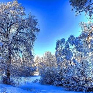 Windows 10 winter wallpaper