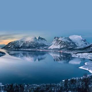 Winter 1080x1080 wallpaper