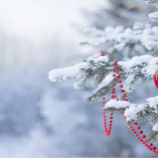 Xmas 1920x1080 wallpaper