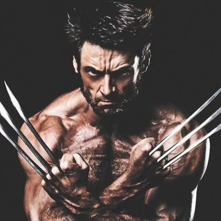 Wolverine claws wallpaper