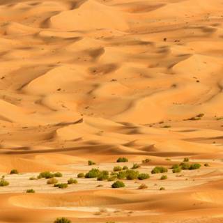 Arabian desert wallpaper