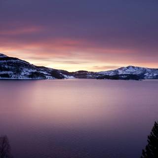 Winter nordic wallpaper