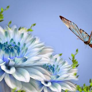 Nature lover wallpaper