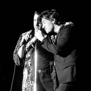 The Last Shadow Puppets wallpaper