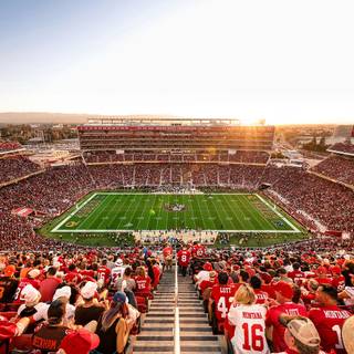 Faithful to the bay wallpaper