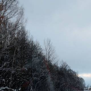 Huawei winter wallpaper