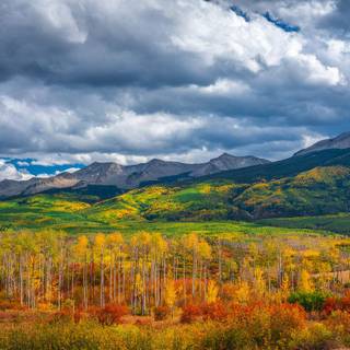 Kebler Pass wallpaper