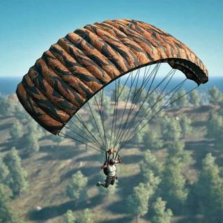 PUBG landing wallpaper