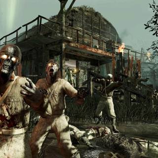 Call of Duty Black Ops Zombies wallpaper