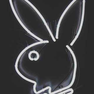 Aesthetic black neon wallpaper