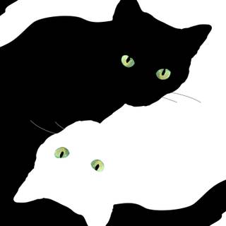 Cat aesthetic PC wallpaper