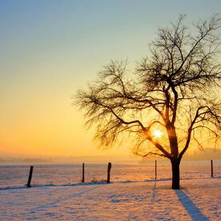 Winter morning sunset wallpaper