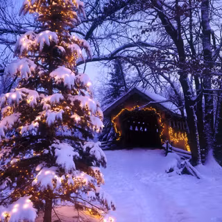 Led Christmas trees wallpaper