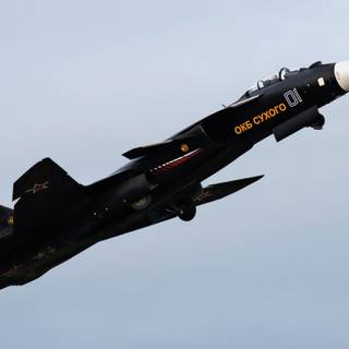 Sukhoi Su-47 wallpaper