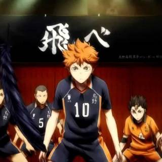 Karasuno Fly wallpaper