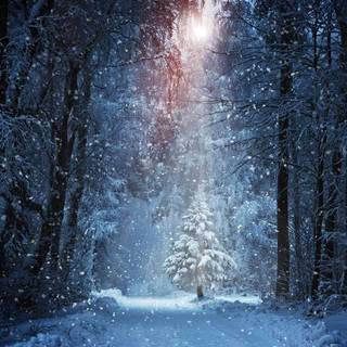 Snow 1920x1080 wallpaper