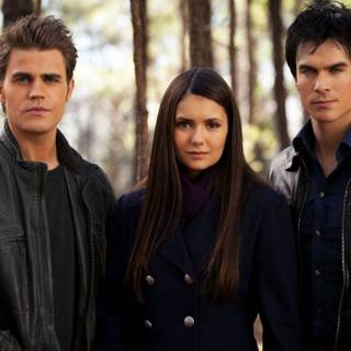 Stefan and Damon wallpaper