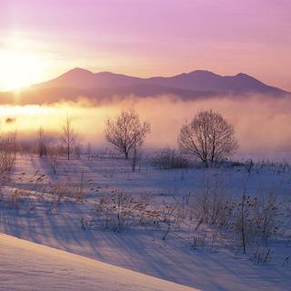 Sunrise with snow wallpaper