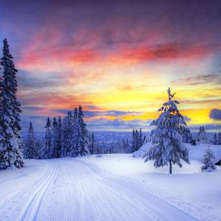 Sunrise with snow wallpaper